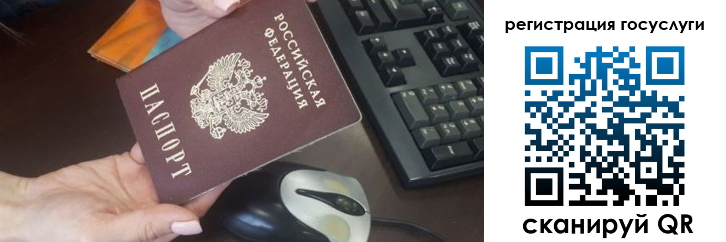 прописка гарантия в Новороссийске
